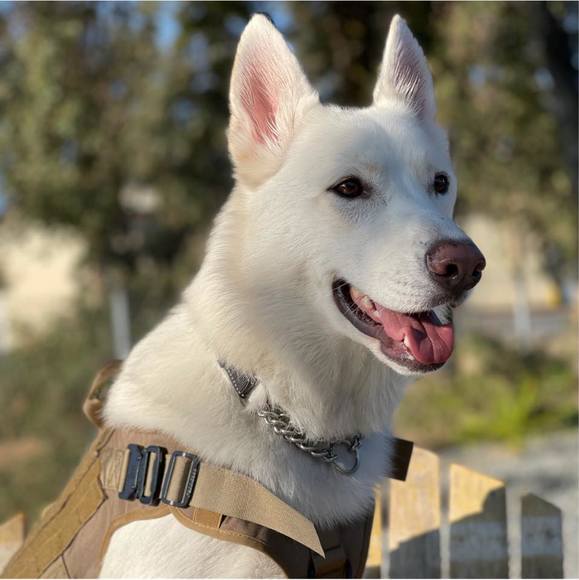 Meet your Posher, Jonathon - Picture 1 of 1